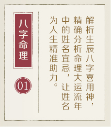 广元起名流程一
